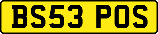 BS53POS