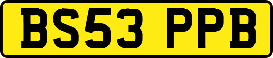 BS53PPB