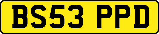 BS53PPD