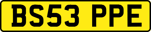 BS53PPE