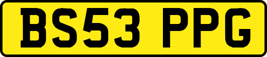 BS53PPG