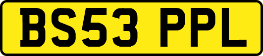 BS53PPL