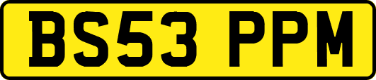 BS53PPM