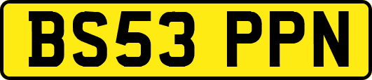 BS53PPN