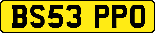 BS53PPO