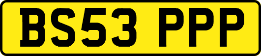 BS53PPP