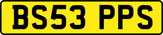 BS53PPS