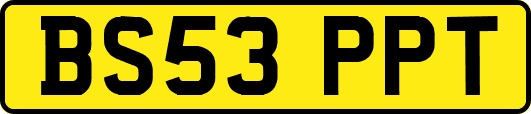 BS53PPT