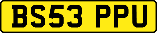 BS53PPU
