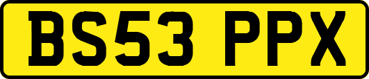 BS53PPX