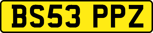 BS53PPZ