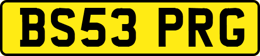 BS53PRG