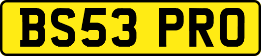 BS53PRO