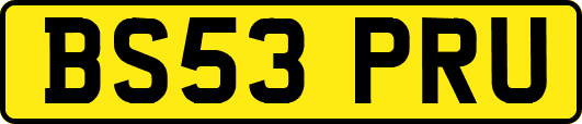 BS53PRU
