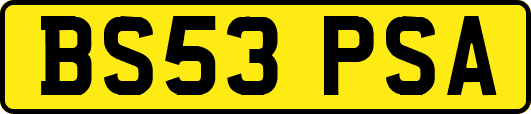 BS53PSA
