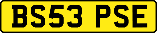 BS53PSE