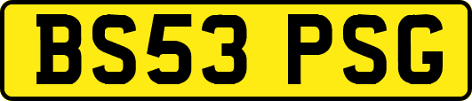 BS53PSG