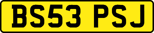 BS53PSJ