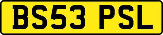 BS53PSL