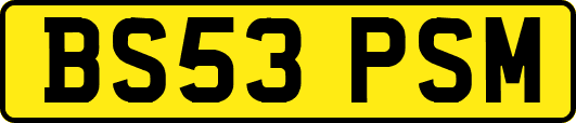 BS53PSM
