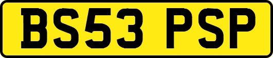 BS53PSP