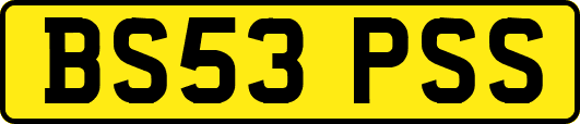 BS53PSS