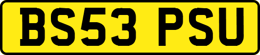 BS53PSU
