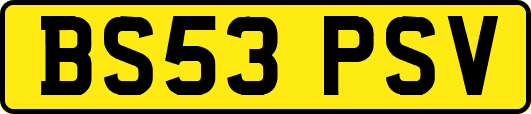 BS53PSV