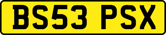 BS53PSX