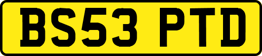 BS53PTD