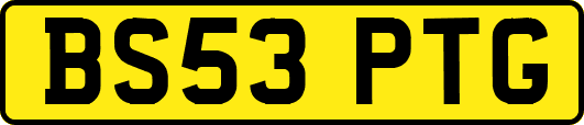 BS53PTG