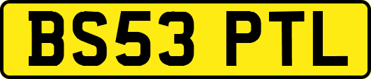 BS53PTL