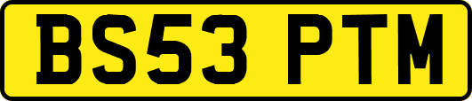 BS53PTM