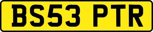 BS53PTR