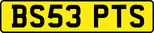 BS53PTS