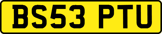 BS53PTU