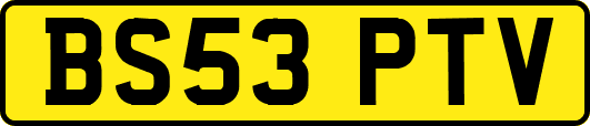 BS53PTV