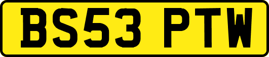 BS53PTW