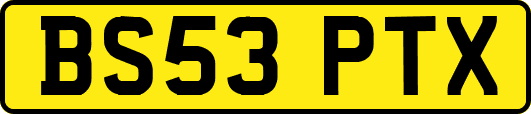 BS53PTX