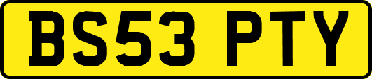 BS53PTY