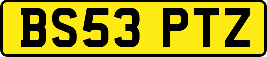 BS53PTZ
