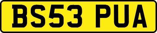 BS53PUA