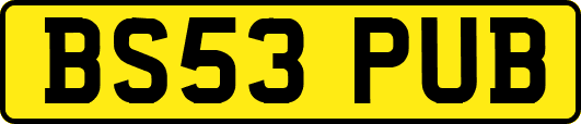 BS53PUB