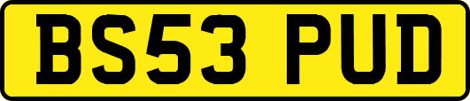 BS53PUD