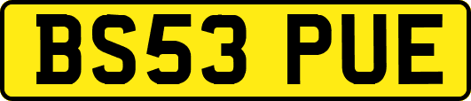 BS53PUE