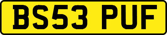 BS53PUF