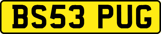 BS53PUG