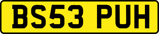 BS53PUH