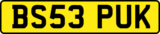 BS53PUK
