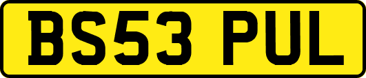 BS53PUL